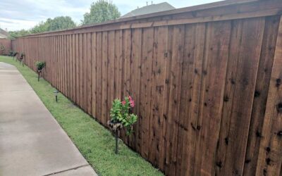 6 Factors to consider for a New fence